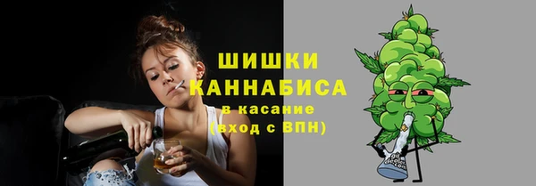 спайс Инта