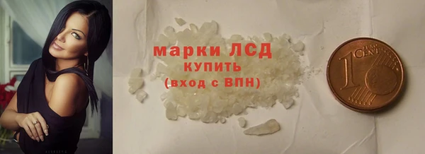 спайс Инта