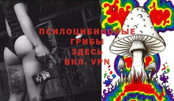 спайс Инта