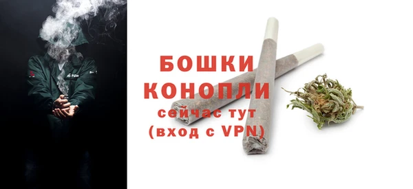 спайс Инта