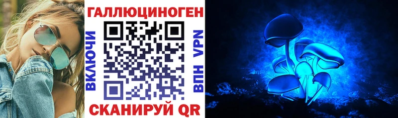 Купить где Пошехонье Галлюциногенные грибы Cubensis